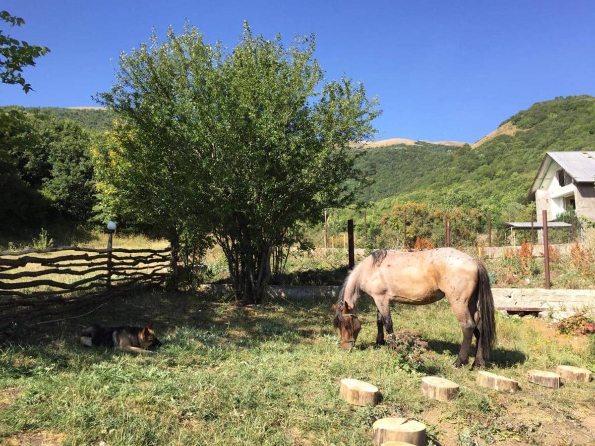 Vardeni Guesthouse Hrazdan Bagian luar foto
